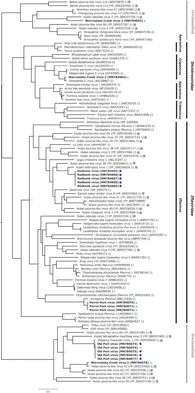 https://cdn.ncbi.nlm.nih.gov/pmc/blobs/8c86/7485684/3e0d710773a3/mSphere.00587-20-f0003.jpg