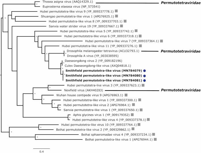 https://cdn.ncbi.nlm.nih.gov/pmc/blobs/8c86/7485684/6ae807b6721a/mSphere.00587-20-f0004.jpg