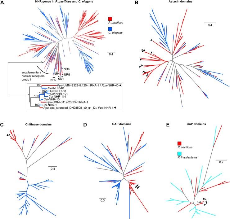 https://cdn.ncbi.nlm.nih.gov/pmc/blobs/8c87/7179942/81e58131af82/pgen.1008687.g005.jpg