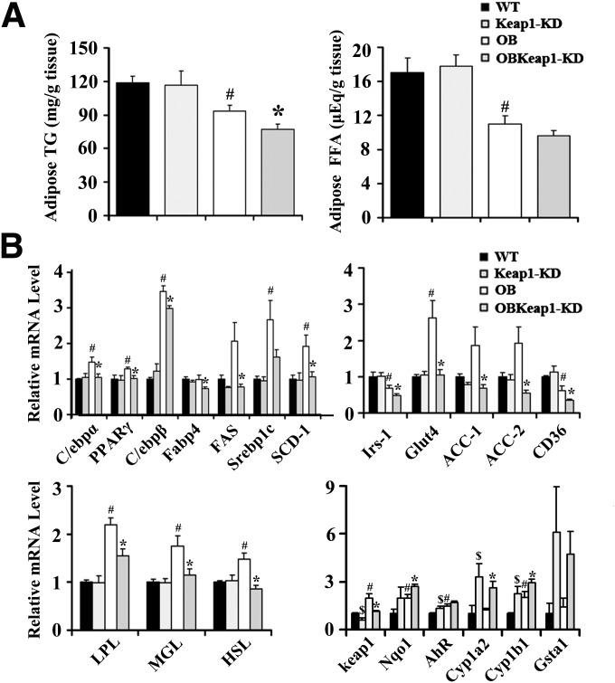 https://cdn.ncbi.nlm.nih.gov/pmc/blobs/8c88/3501889/5f66c96650ac/3208fig4.jpg