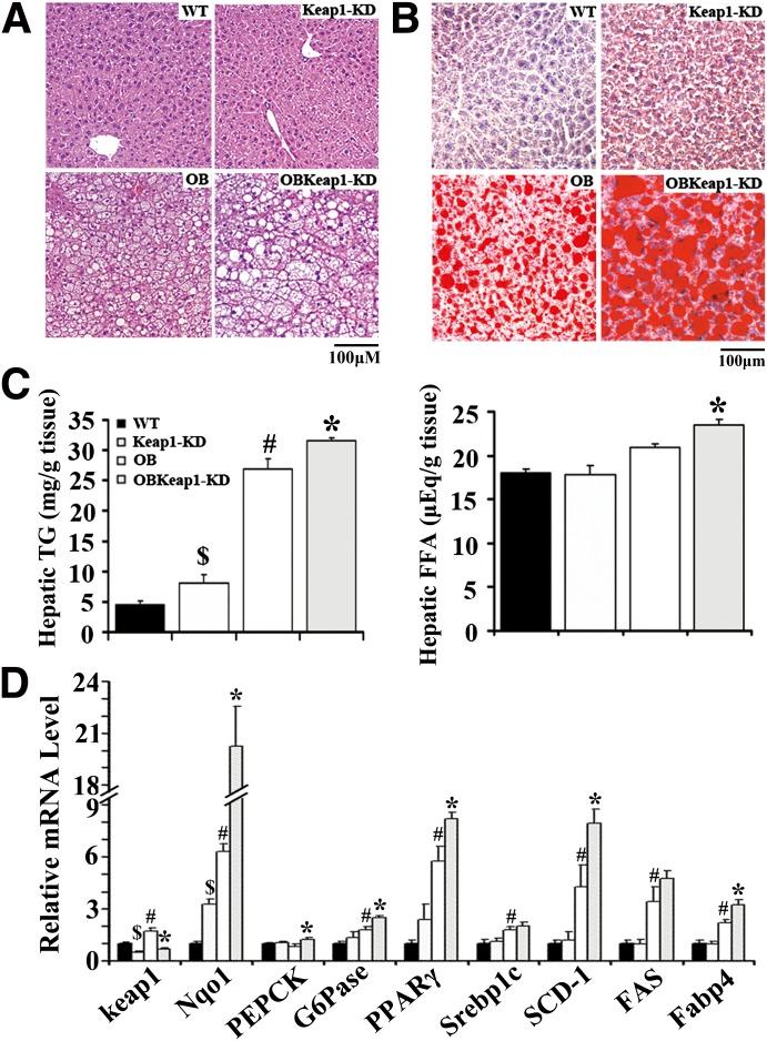 https://cdn.ncbi.nlm.nih.gov/pmc/blobs/8c88/3501889/7d4a4f95e54c/3208fig3.jpg