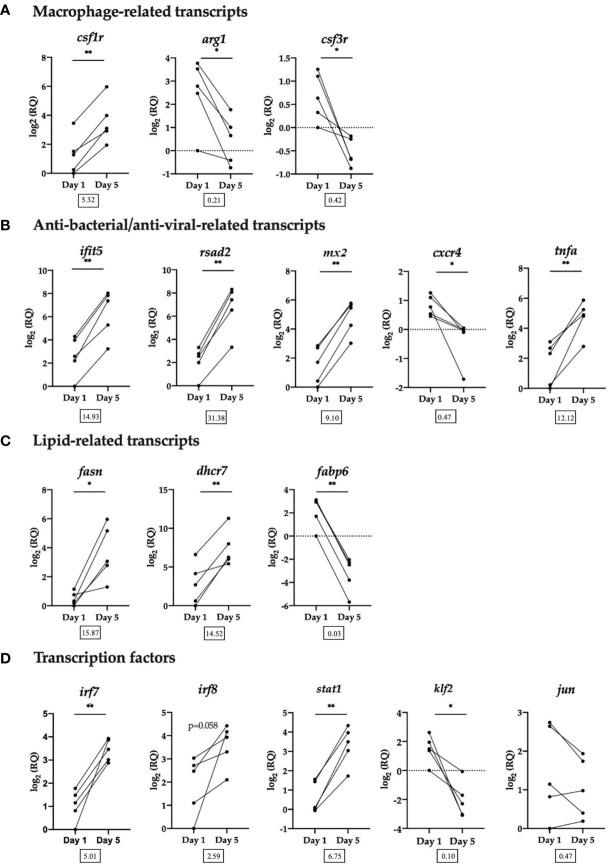 https://cdn.ncbi.nlm.nih.gov/pmc/blobs/8c8a/8415484/10f053e6b49b/fimmu-12-709910-g005.jpg