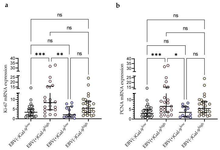 https://cdn.ncbi.nlm.nih.gov/pmc/blobs/8c8b/10670166/f90dc0c21e36/cancers-15-05370-g009.jpg