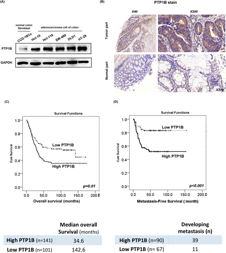 https://cdn.ncbi.nlm.nih.gov/pmc/blobs/8c8b/5082755/9b5cf236c5c7/srep35308-f1.jpg