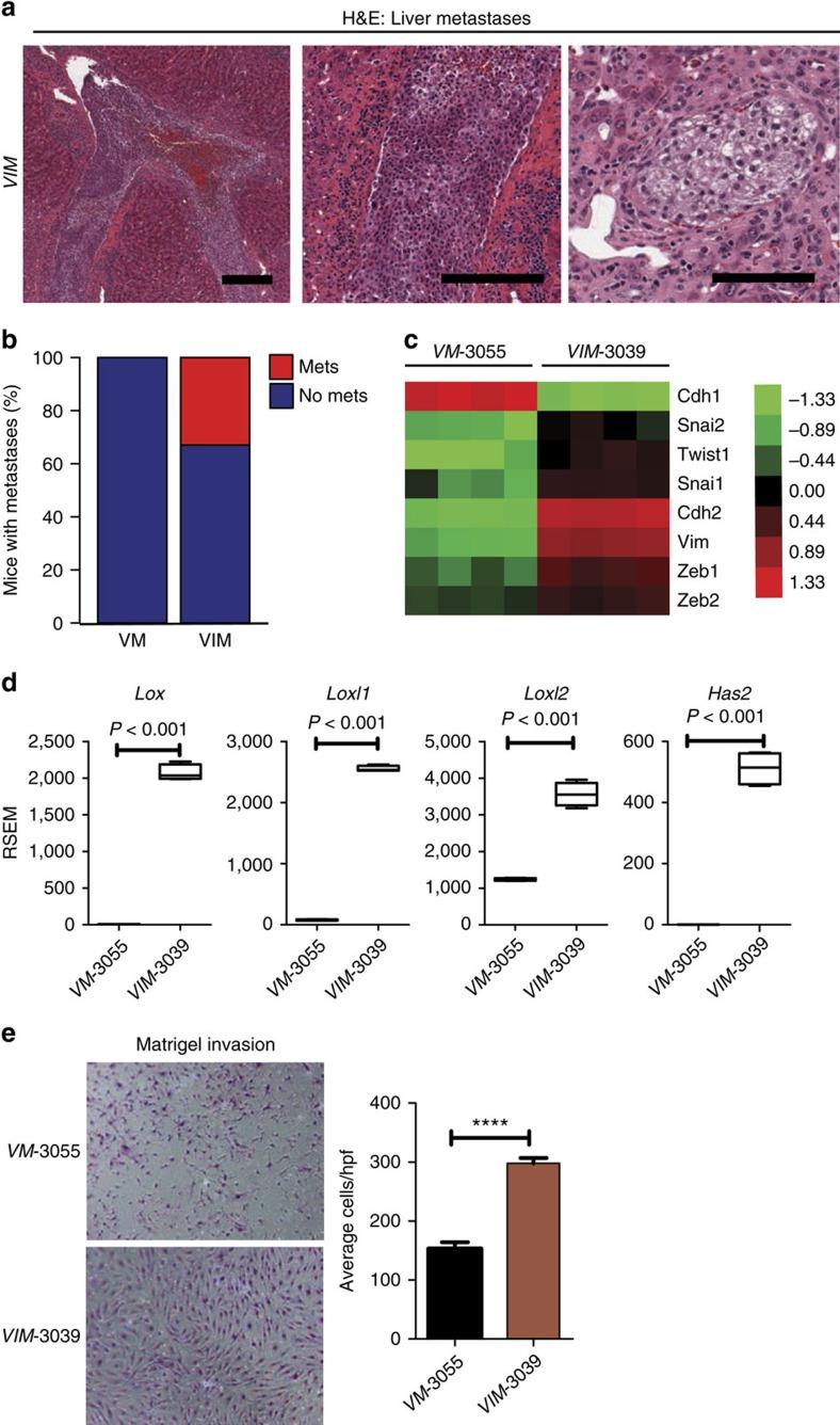 https://cdn.ncbi.nlm.nih.gov/pmc/blobs/8c90/5472759/2a1a291ea070/ncomms15770-f5.jpg