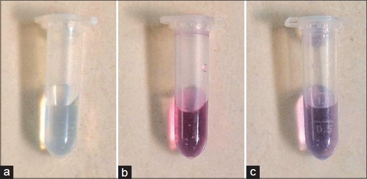 https://cdn.ncbi.nlm.nih.gov/pmc/blobs/8c91/11981182/228a212a50ab/ABR-14-12-g002.jpg