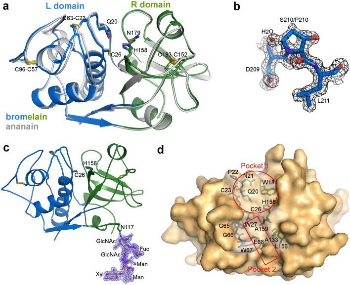 https://cdn.ncbi.nlm.nih.gov/pmc/blobs/8c93/7658999/0f643674b046/41598_2020_76172_Fig2_HTML.jpg