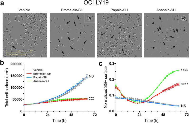 https://cdn.ncbi.nlm.nih.gov/pmc/blobs/8c93/7658999/fb7e1dbd6010/41598_2020_76172_Fig7_HTML.jpg