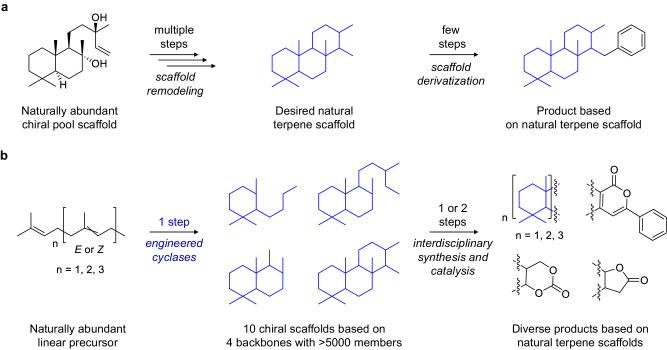 https://cdn.ncbi.nlm.nih.gov/pmc/blobs/8c94/11165016/6d68fba620c1/41467_2024_48993_Fig1_HTML.jpg