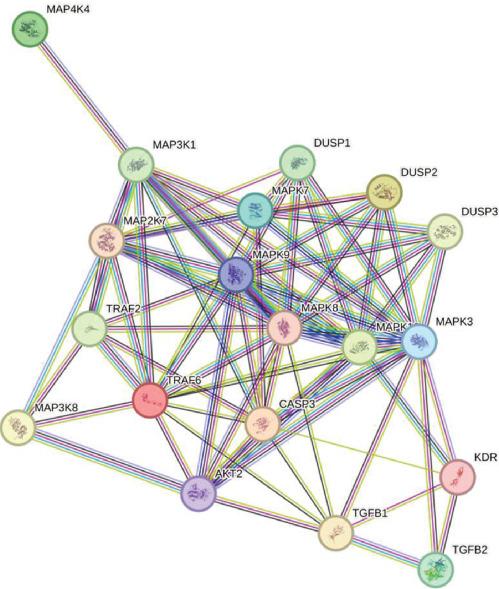 https://cdn.ncbi.nlm.nih.gov/pmc/blobs/8c94/12237553/40a88e786a85/MI2025-8586711.003.jpg
