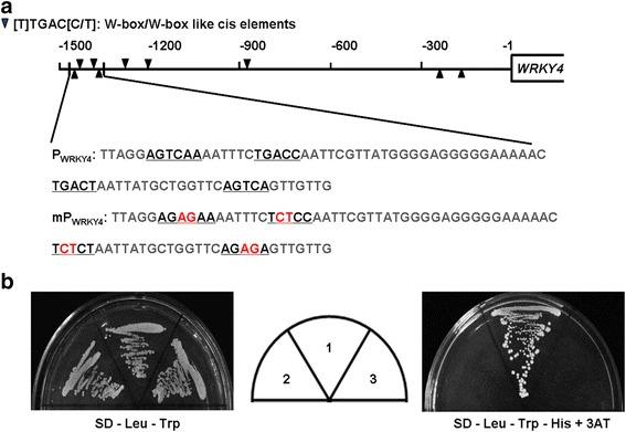 https://cdn.ncbi.nlm.nih.gov/pmc/blobs/8c94/5124021/23b67ed4c73c/12284_2016_137_Fig10_HTML.jpg