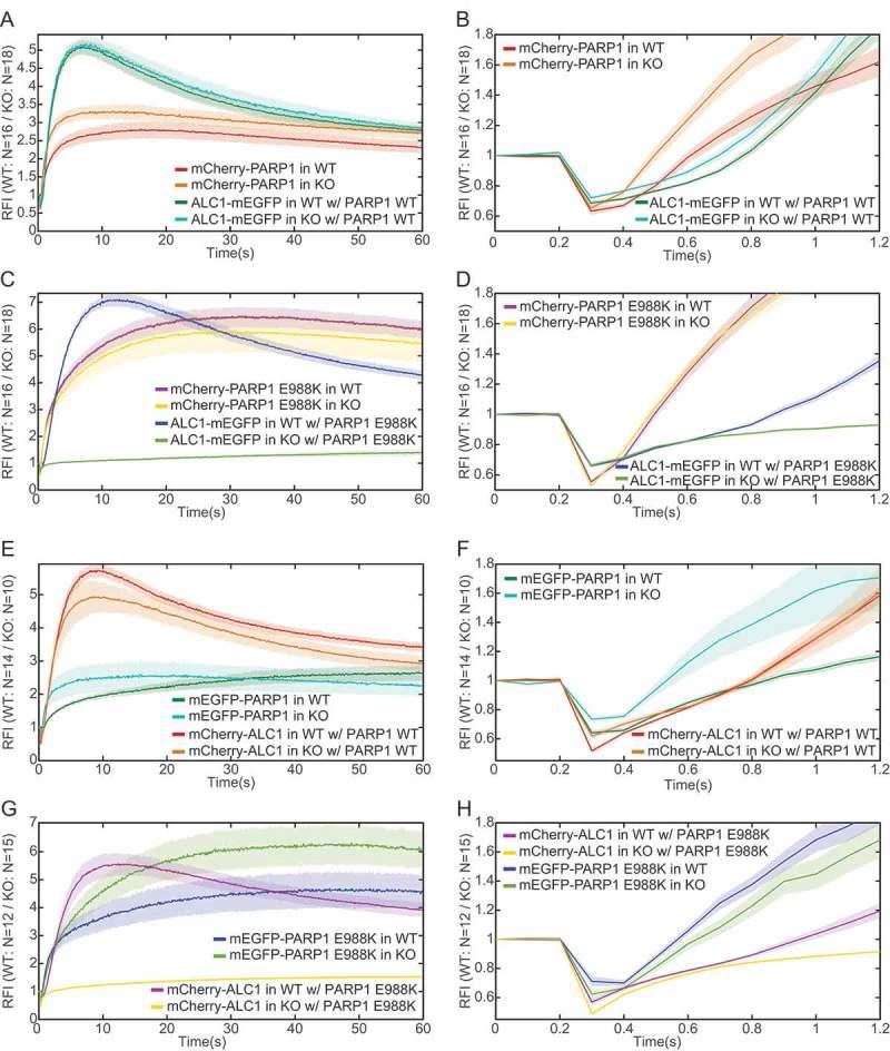 https://cdn.ncbi.nlm.nih.gov/pmc/blobs/8c94/6284507/aae7abdcbfa2/kncl-09-01-1516485-g007.jpg