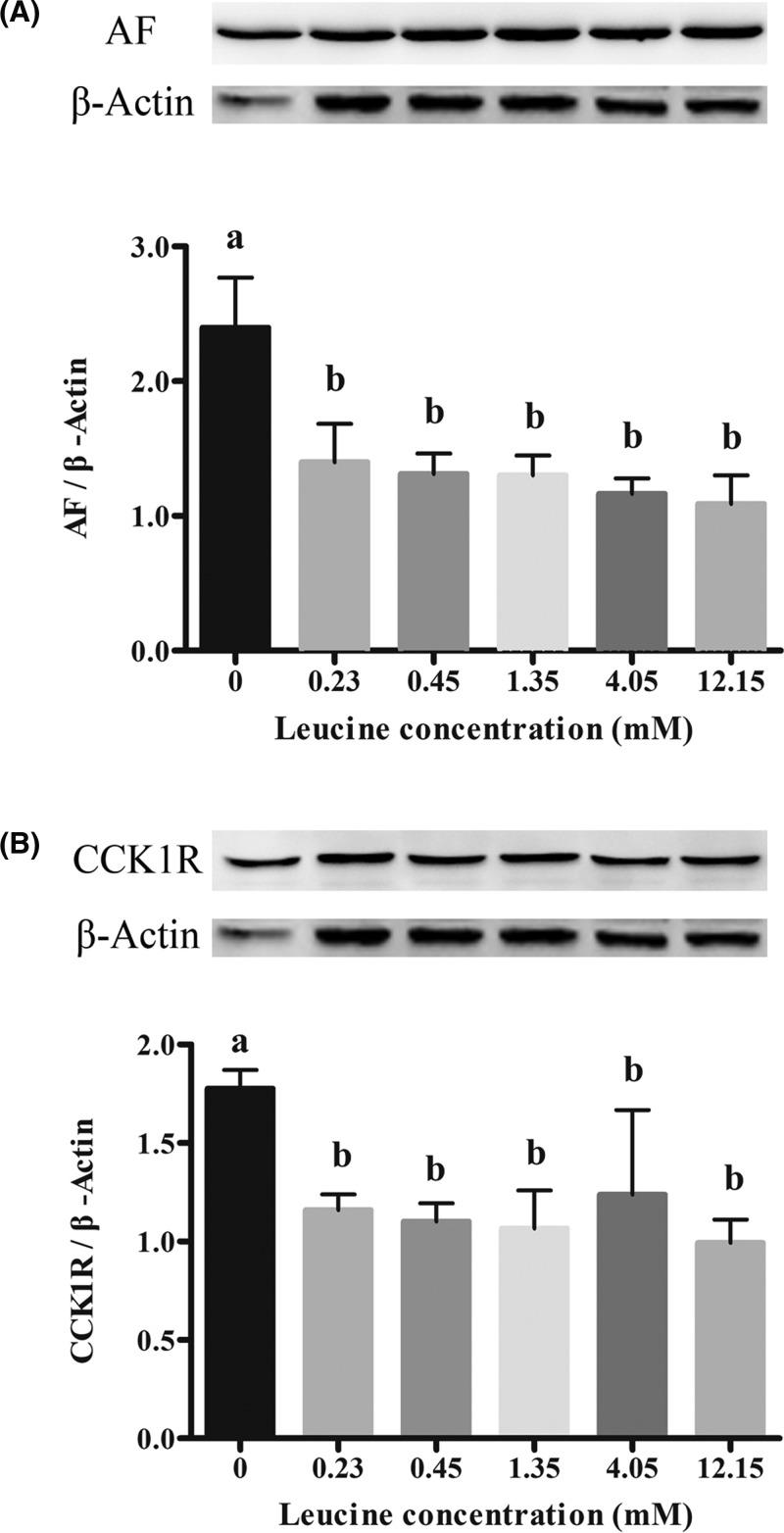https://cdn.ncbi.nlm.nih.gov/pmc/blobs/8c96/6294628/e250888a7872/bsr-38-bsr20181455-g2.jpg