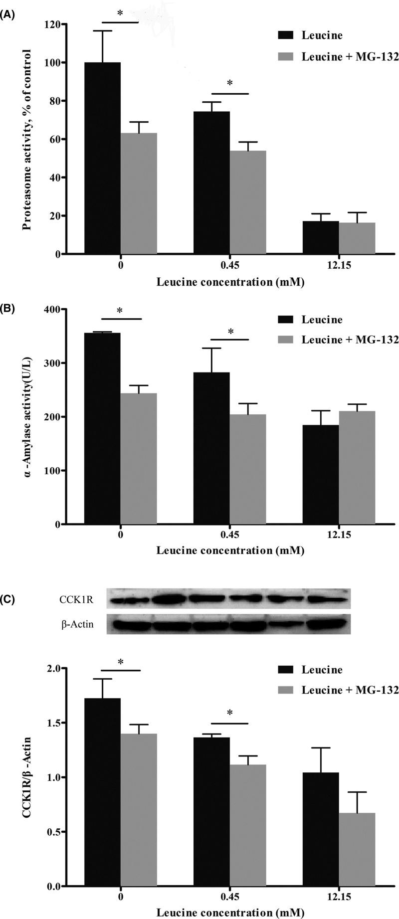 https://cdn.ncbi.nlm.nih.gov/pmc/blobs/8c96/6294628/e3783d238369/bsr-38-bsr20181455-g5.jpg