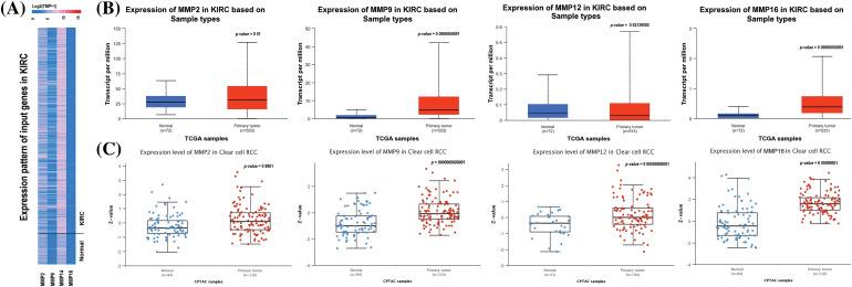 https://cdn.ncbi.nlm.nih.gov/pmc/blobs/8c97/10972725/012b37ee2745/OncolRes-32-42925-f002.jpg