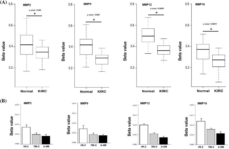https://cdn.ncbi.nlm.nih.gov/pmc/blobs/8c97/10972725/8898f060fa8f/OncolRes-32-42925-f010.jpg