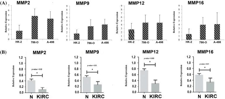 https://cdn.ncbi.nlm.nih.gov/pmc/blobs/8c97/10972725/8978d380e450/OncolRes-32-42925-f011.jpg