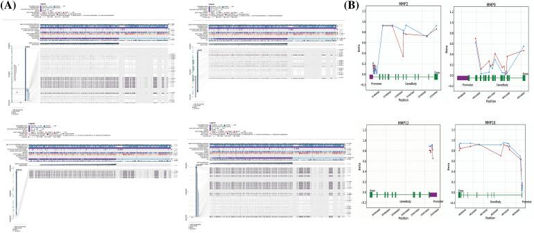 https://cdn.ncbi.nlm.nih.gov/pmc/blobs/8c97/10972725/d1e6cc3a2e98/OncolRes-32-42925-f007.jpg