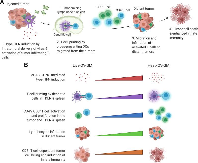 https://cdn.ncbi.nlm.nih.gov/pmc/blobs/8c97/8487208/02cd1e24730e/jitc-2021-002569f07.jpg