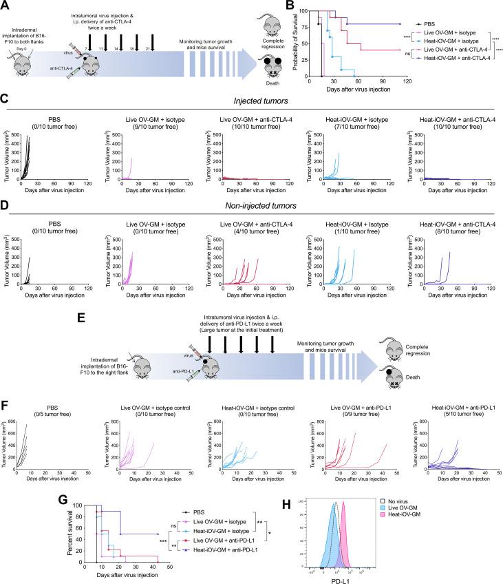 https://cdn.ncbi.nlm.nih.gov/pmc/blobs/8c97/8487208/0af8f7e0eda1/jitc-2021-002569f05.jpg