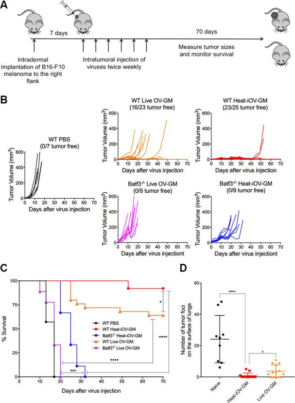 https://cdn.ncbi.nlm.nih.gov/pmc/blobs/8c97/8487208/446f41528112/jitc-2021-002569f02.jpg