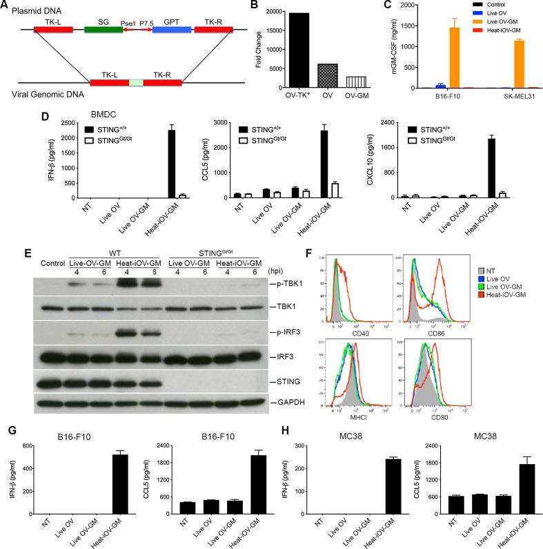 https://cdn.ncbi.nlm.nih.gov/pmc/blobs/8c97/8487208/6a1e5838d907/jitc-2021-002569f01.jpg