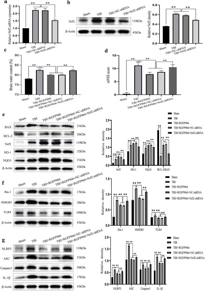 https://cdn.ncbi.nlm.nih.gov/pmc/blobs/8c98/11069425/988e48f52970/tkad062f8.jpg