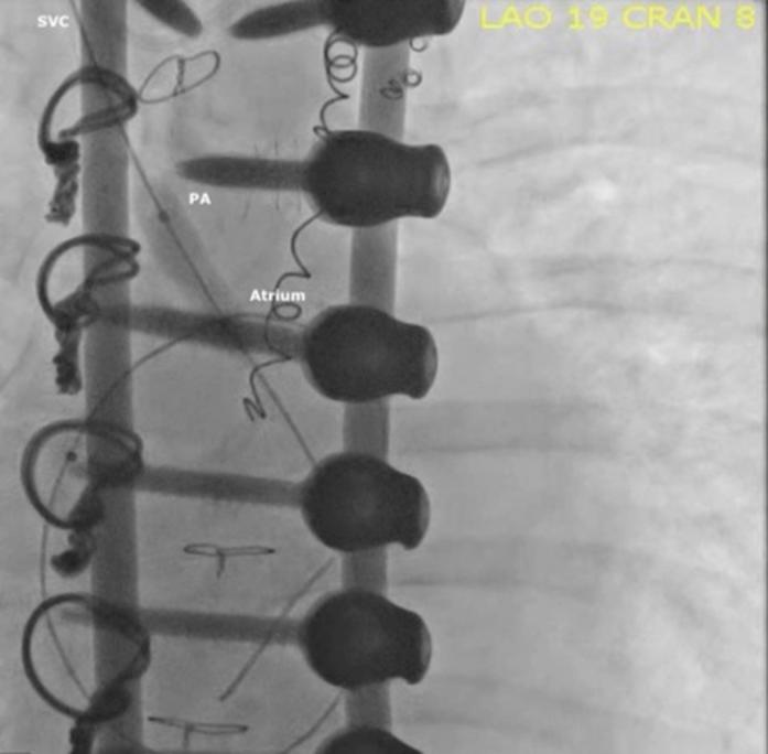 https://cdn.ncbi.nlm.nih.gov/pmc/blobs/8c98/8855131/f96c63acf1b0/gr3.jpg