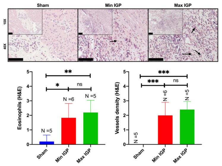 https://cdn.ncbi.nlm.nih.gov/pmc/blobs/8c9a/7602144/45883708ac46/cancers-12-02977-g003.jpg