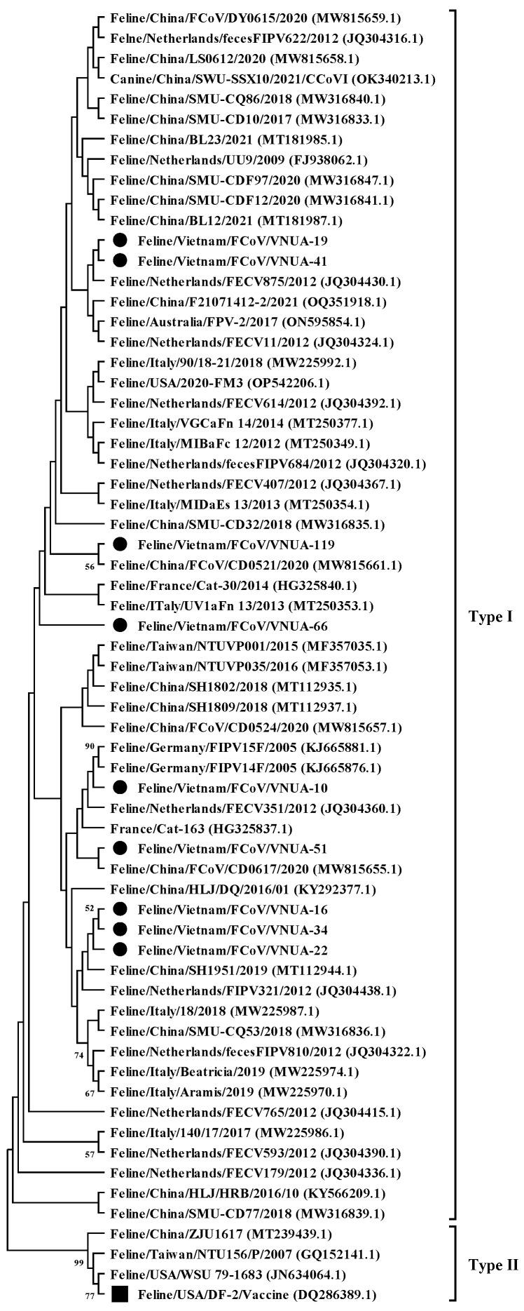 https://cdn.ncbi.nlm.nih.gov/pmc/blobs/8c9c/11860192/e7e9a78c0f8d/viruses-17-00188-g001.jpg