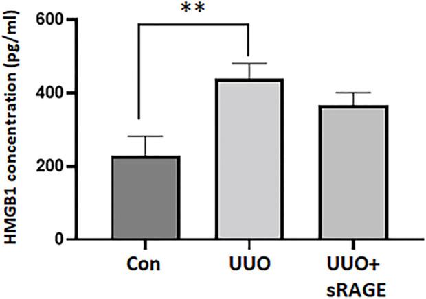 https://cdn.ncbi.nlm.nih.gov/pmc/blobs/8c9d/10227196/8632e453b353/fphar-14-1172269-g002.jpg