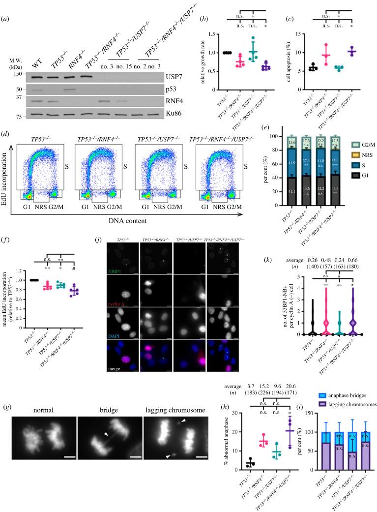 https://cdn.ncbi.nlm.nih.gov/pmc/blobs/8c9d/10444366/b0ab12edfee2/rsob230068f02.jpg