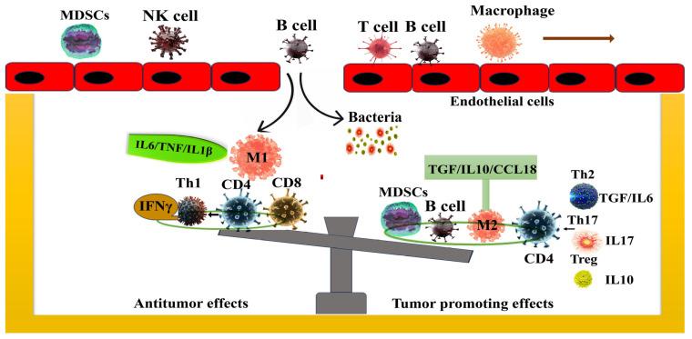 https://cdn.ncbi.nlm.nih.gov/pmc/blobs/8c9d/11988718/1ac71aafb847/ijms-26-03112-g002.jpg