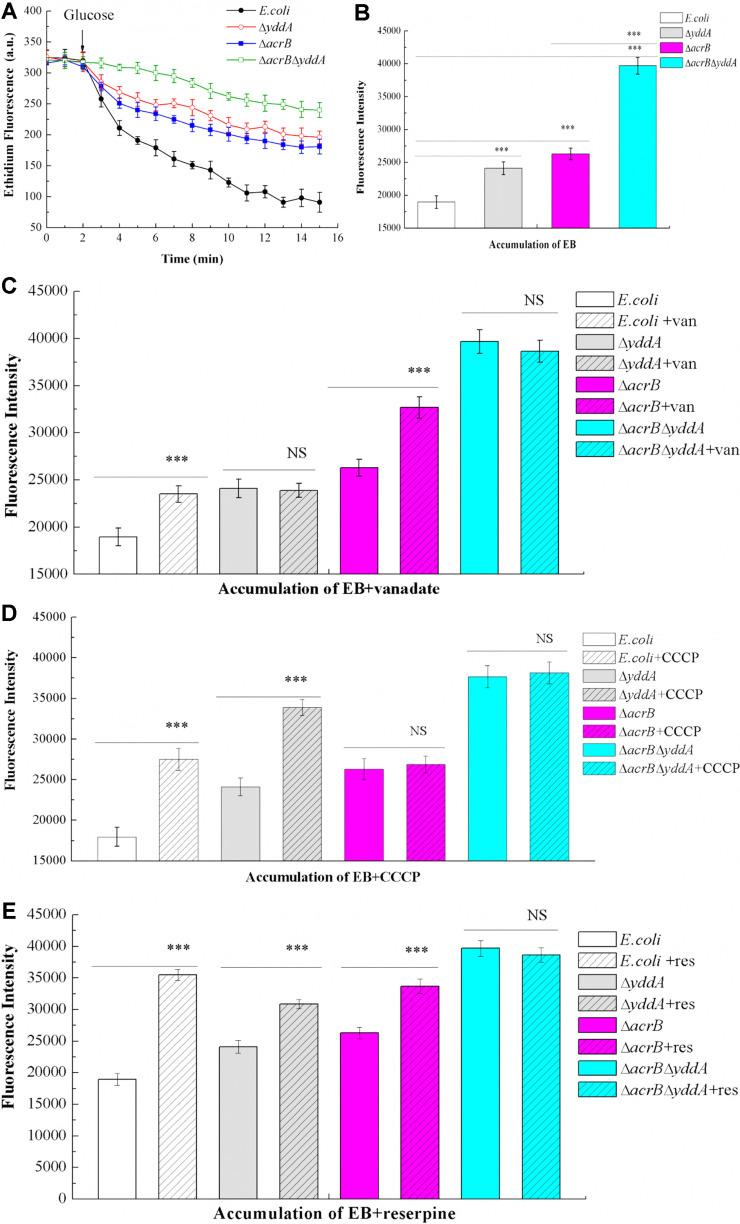 https://cdn.ncbi.nlm.nih.gov/pmc/blobs/8c9d/9728188/43537b4c4b85/JMB-30-7-982-f3.jpg