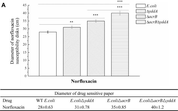 https://cdn.ncbi.nlm.nih.gov/pmc/blobs/8c9d/9728188/80253ce87724/JMB-30-7-982-f2.jpg