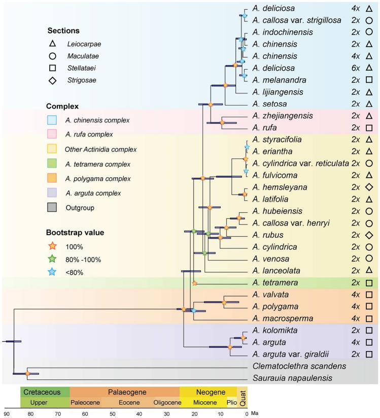 https://cdn.ncbi.nlm.nih.gov/pmc/blobs/8ca0/12006428/e7aea3832571/41598_2025_95789_Fig7_HTML.jpg