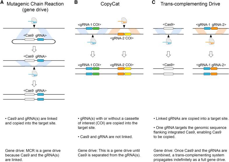https://cdn.ncbi.nlm.nih.gov/pmc/blobs/8ca1/5753851/0fa1e11db0dc/1fig5.jpg