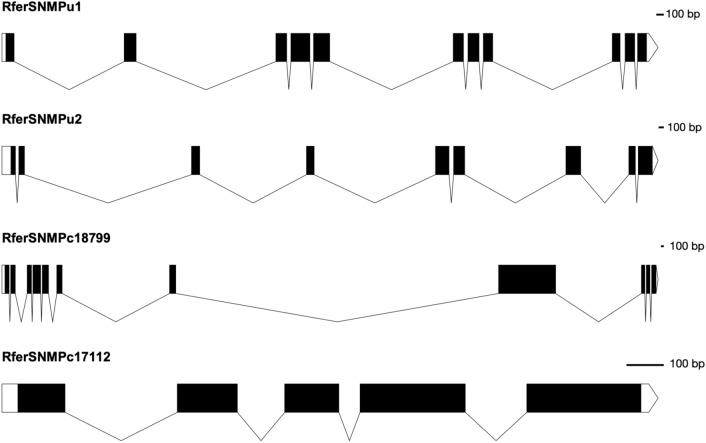 https://cdn.ncbi.nlm.nih.gov/pmc/blobs/8ca3/11254914/e29c20251684/41598_2024_67309_Fig2_HTML.jpg