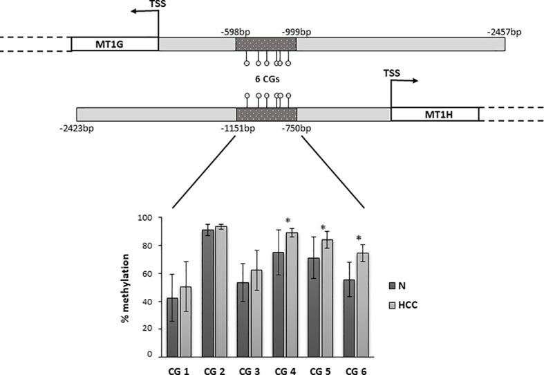 https://cdn.ncbi.nlm.nih.gov/pmc/blobs/8ca3/7876470/4d10f19945a7/fonc-10-596040-g005.jpg