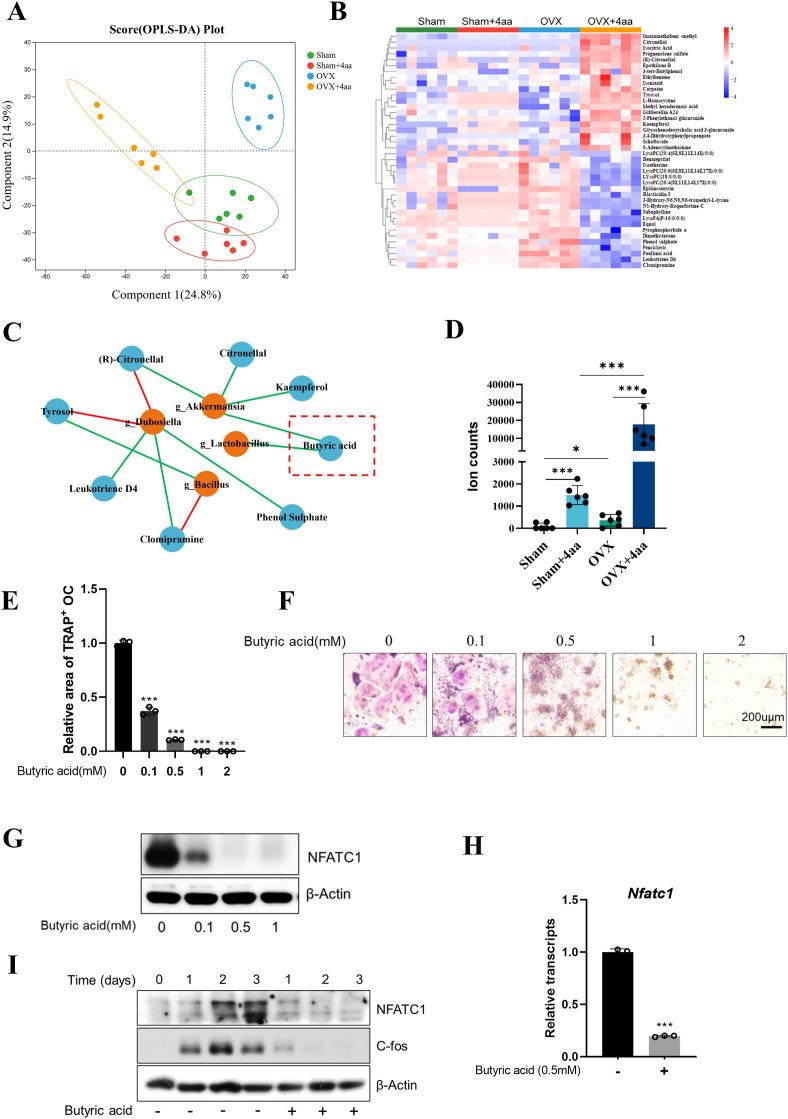 https://cdn.ncbi.nlm.nih.gov/pmc/blobs/8ca9/12380565/ed371029409a/fendo-16-1623933-g004.jpg
