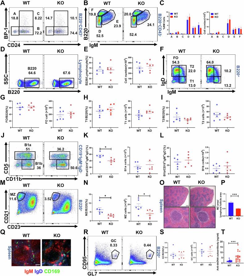 https://cdn.ncbi.nlm.nih.gov/pmc/blobs/8cab/11763251/edad44b0fdb9/41419_2025_7352_Fig2_HTML.jpg