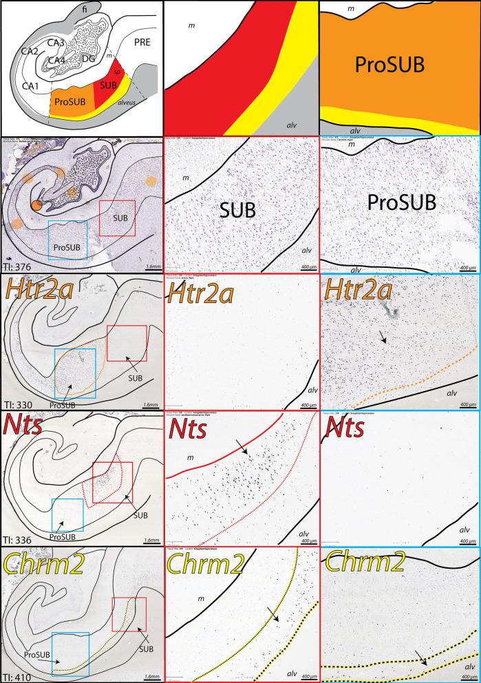 https://cdn.ncbi.nlm.nih.gov/pmc/blobs/8cab/7881248/15b21dad3122/41598_2021_81362_Fig2_HTML.jpg