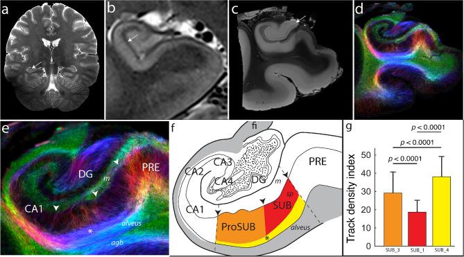 https://cdn.ncbi.nlm.nih.gov/pmc/blobs/8cab/7881248/d6cd3102863b/41598_2021_81362_Fig6_HTML.jpg
