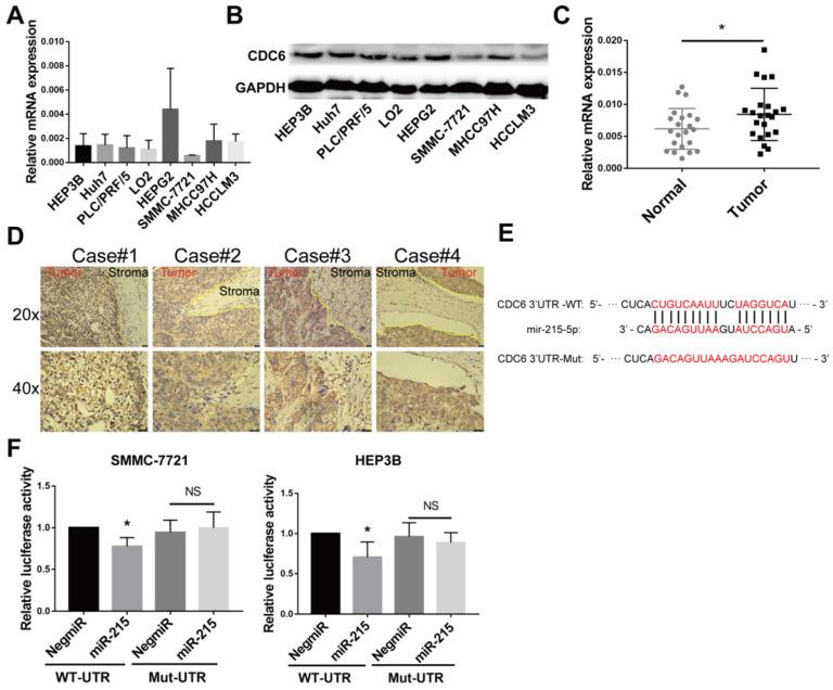 https://cdn.ncbi.nlm.nih.gov/pmc/blobs/8cae/7646103/791031c0f5db/ijmsv17p2926g007.jpg