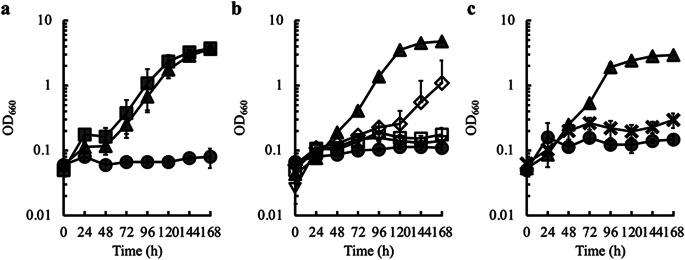 https://cdn.ncbi.nlm.nih.gov/pmc/blobs/8cb0/10359374/31be7217c46d/11274_2023_3696_Figb_HTML.jpg