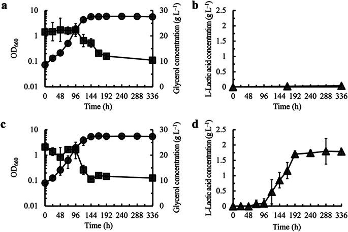 https://cdn.ncbi.nlm.nih.gov/pmc/blobs/8cb0/10359374/c68653abc031/11274_2023_3696_Figd_HTML.jpg