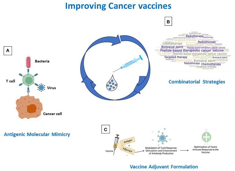 https://cdn.ncbi.nlm.nih.gov/pmc/blobs/8cb1/10467431/8c1c57d3a088/fimmu-14-1210044-g002.jpg