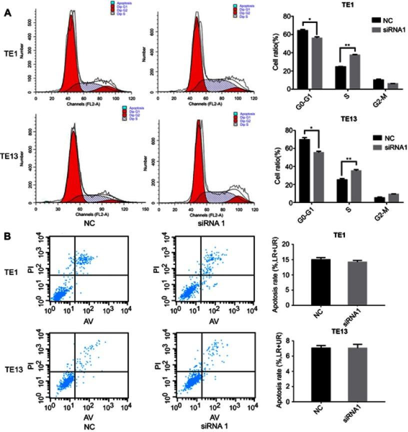 https://cdn.ncbi.nlm.nih.gov/pmc/blobs/8cb2/6535442/a4cc6f086642/CMAR-11-4643-g0004.jpg
