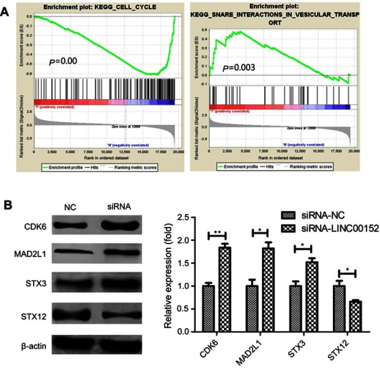https://cdn.ncbi.nlm.nih.gov/pmc/blobs/8cb2/6535442/f7bf1da3866b/CMAR-11-4643-g0006.jpg