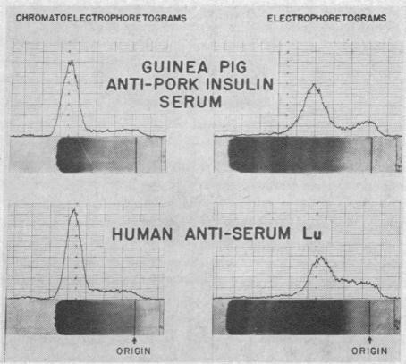 https://cdn.ncbi.nlm.nih.gov/pmc/blobs/8cb5/290878/93c200ced612/jcinvest00309-0025-a.jpg